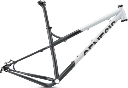 Genesis Tarn Frameset 2020