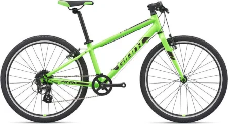 Giant Arx 24 2020