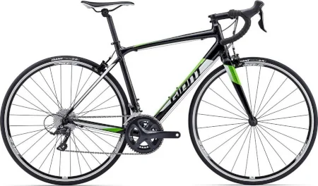 Giant Contend 1 2017