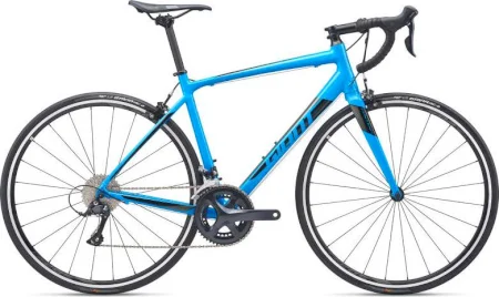Giant Contend 1 2019