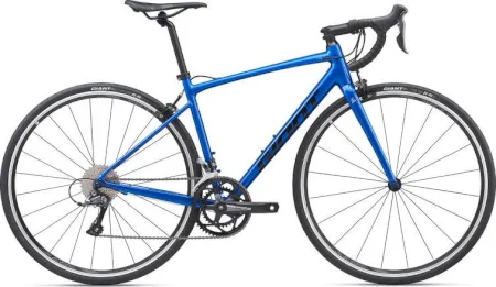 Giant Contend 2 2020