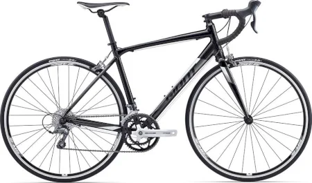 Giant Contend 3 2017