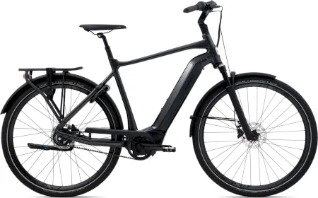 Giant Dailytour Eplus 0 Bd Gts 2021
