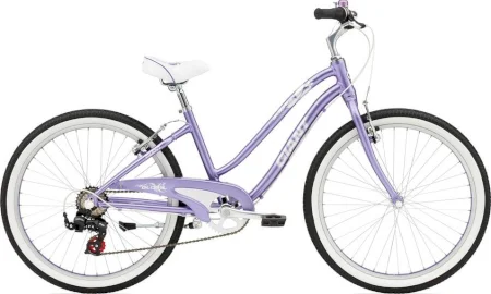 Giant Gloss Purple 2010