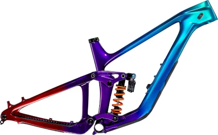 Giant Reign Advanced Frame 2024