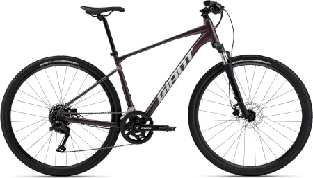 Giant Roam Disc 2 2024