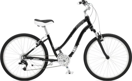 Giant Suede Dx W Black Silver 2011
