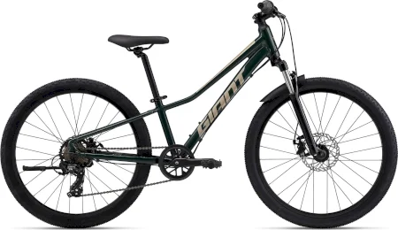 Giant Talon 24 Disc 2024