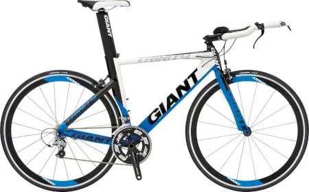 Giant Trinity 0 2010