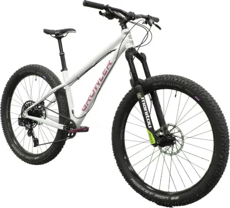 Growlerbikes American Pale Ale Type 2 2020