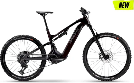 Haibike Allmtn Cf 9 2025