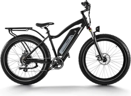 Himiway Cruiser 2021