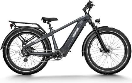 Himiway Zebra 2022