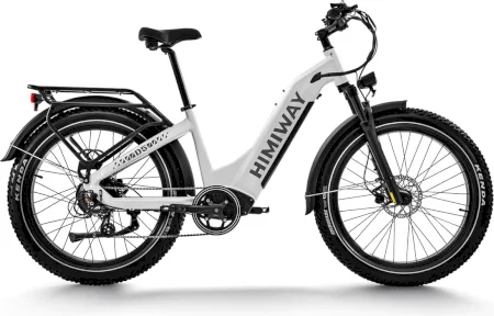 Himiway Zebra St D5 St 2024