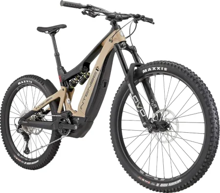 Intense Tazer Dvo 2022