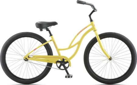 Jamis Earth Cruiser 1 Step Thru 2019