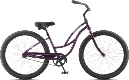 Jamis Earth Cruiser 2 Step Over 2020