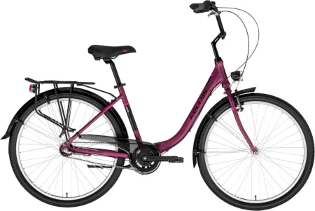 Kellys Avery 10 2022