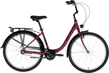 Kellys Avery 10 2023