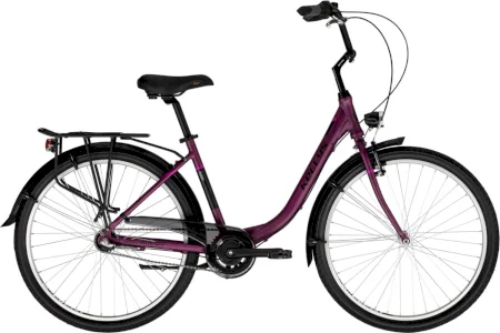 Kellys Avery 10 2025