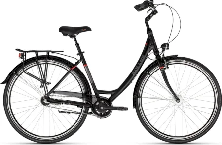 Kellys Avery 50 2025