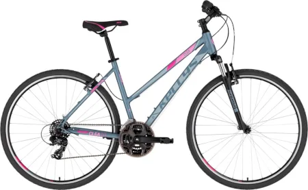 Kellys Clea 10 2021