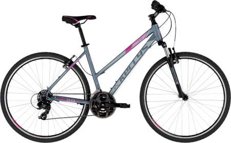 Kellys Clea 10 2025