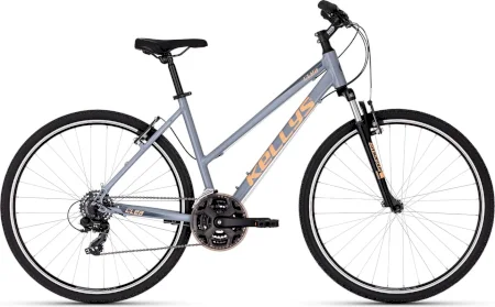 Kellys Clea 10 Misty 2025