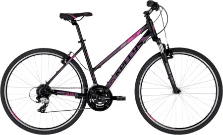 Kellys Clea 30 2025