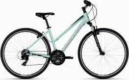 Kellys Clea 30 Desert Flower 2024
