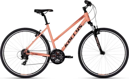 Kellys Clea 30 Desert Flower 2025