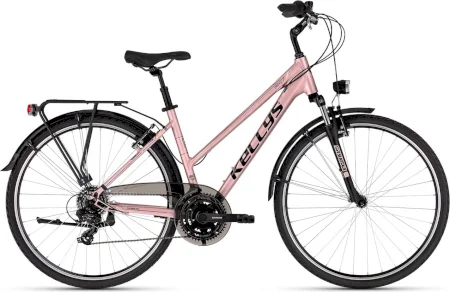Kellys Cristy 10 2025