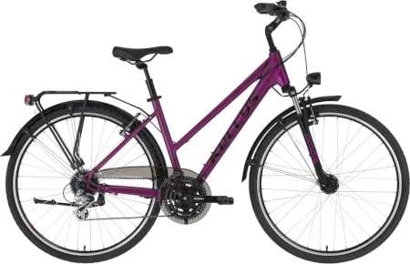 Kellys Cristy 40 2021