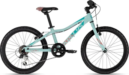 Kellys Lumi 30 20 2024