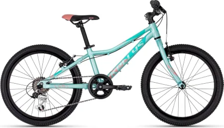 Kellys Lumi 30 20 2025