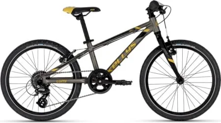 Kellys Lumi 90 20 2025