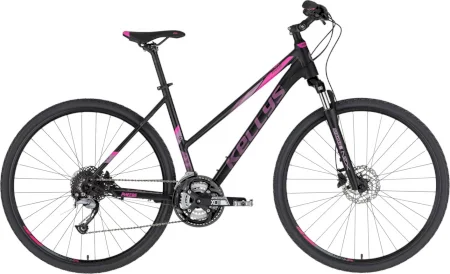 Kellys Pheebe 10 2022