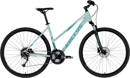 Kellys Pheebe 10 2025