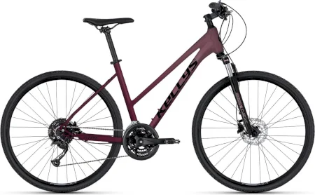 Kellys Pheebe 20 Rosy 2025