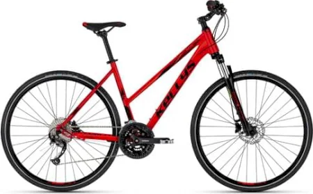 Kellys Pheebe 30 2023