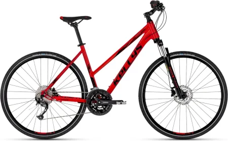 Kellys Pheebe 30 2025
