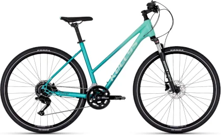 Kellys Pheebe 50 2025