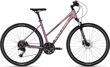 Kellys Pheebe 70 Rosy Violet 2025