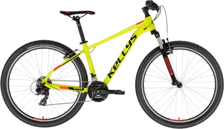 Kellys Spider 10 26 2022