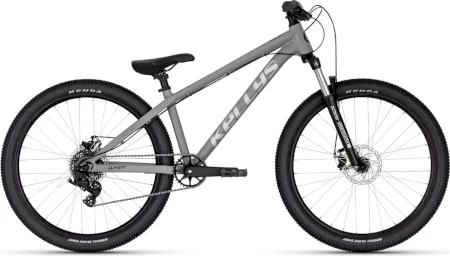 Kellys Whip 10 Dx Moonstone 2025