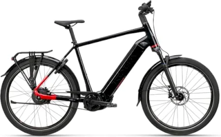 Koga Pace B10 Suspension 2025