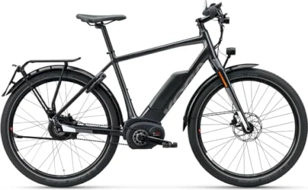 Koga Pace B20 2020