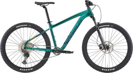 Kona Cinder Cone 2022