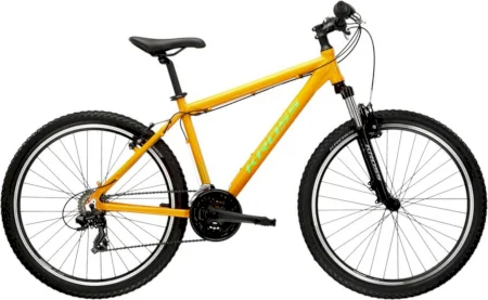 Kross Hexagon 1.0 2024