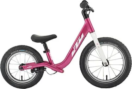 Ktm Wild Buddy 12 2024